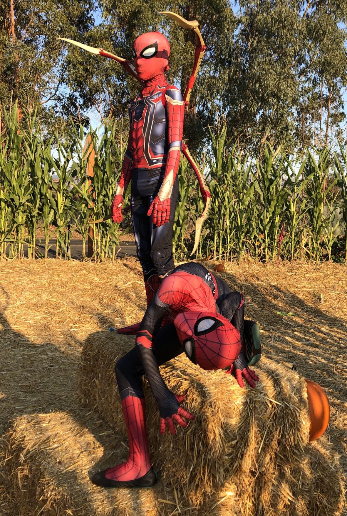 Halloween 2019
